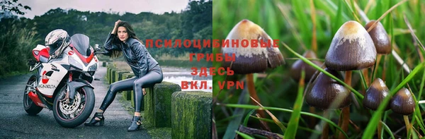 альфа пвп Беломорск