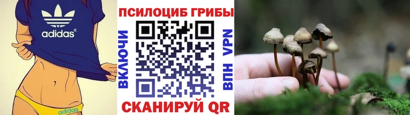 Псилоцибиновые грибы Magic Shrooms Дагестанские Огни
